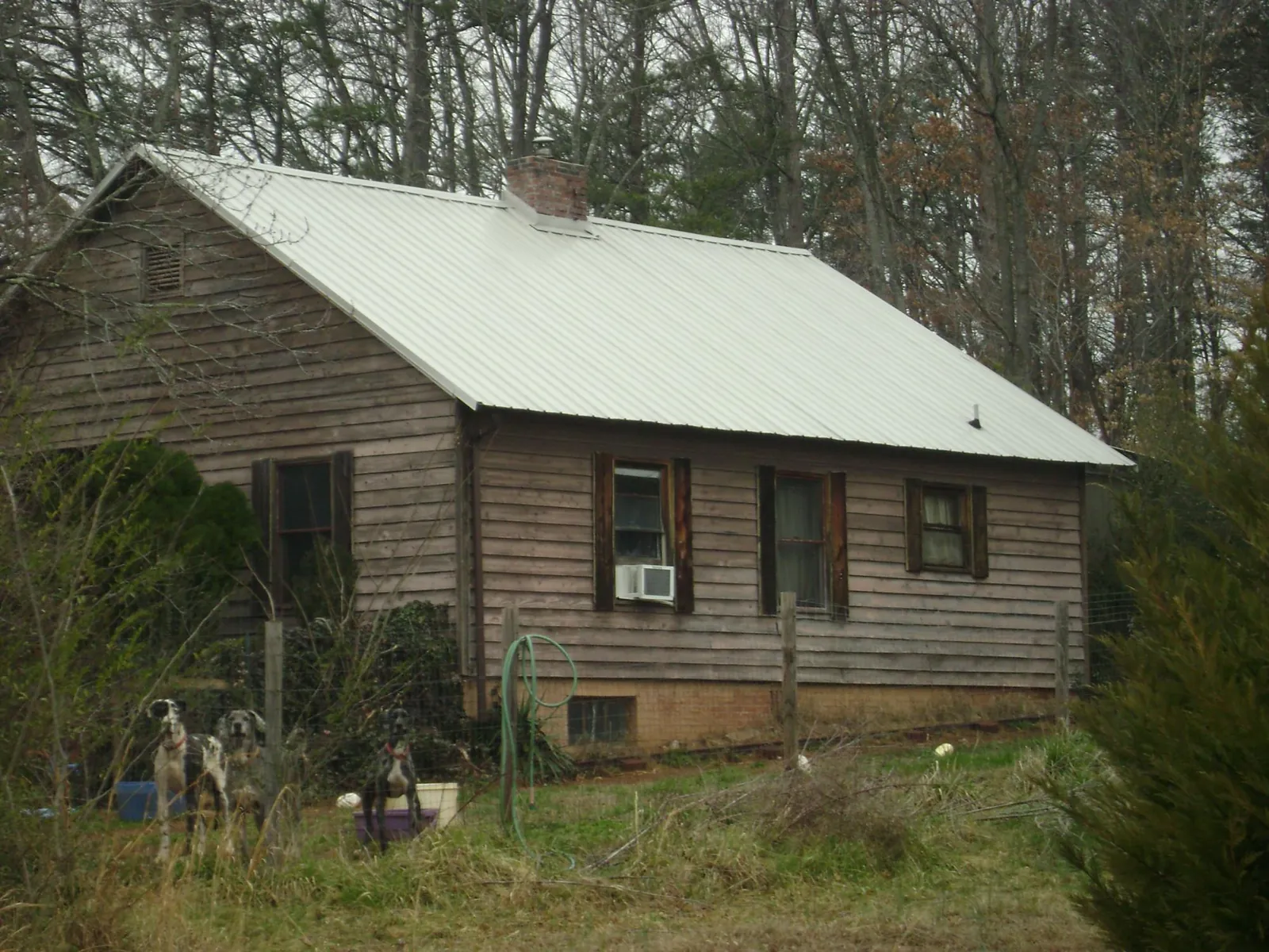 White metal roof on an old wood sided farmhouse, from a Asphalt Shingle Roof Repair job in Boulder Creek